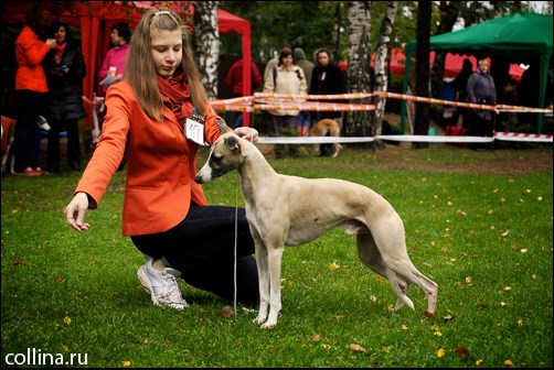 Hendler: Hendler Filippova Olga