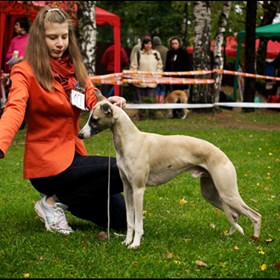 Hendler: Hendler Filippova Olga